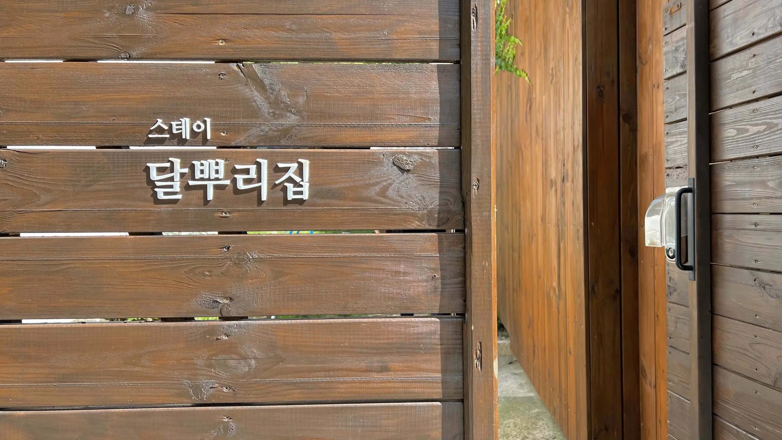 거제 달뿌리집 촌캉스 인 줄 알고 갔던 감성숙소 - 12