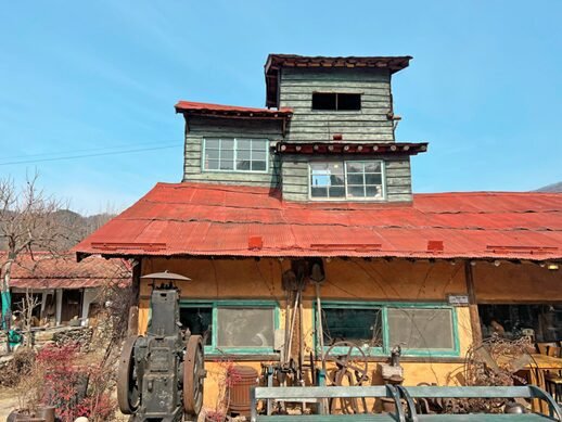 전주 소품샵 탐미주의|자라홈 감성 인테리어 오브제 구경 전주 색장정미소 카페 관련글 대표 이미지