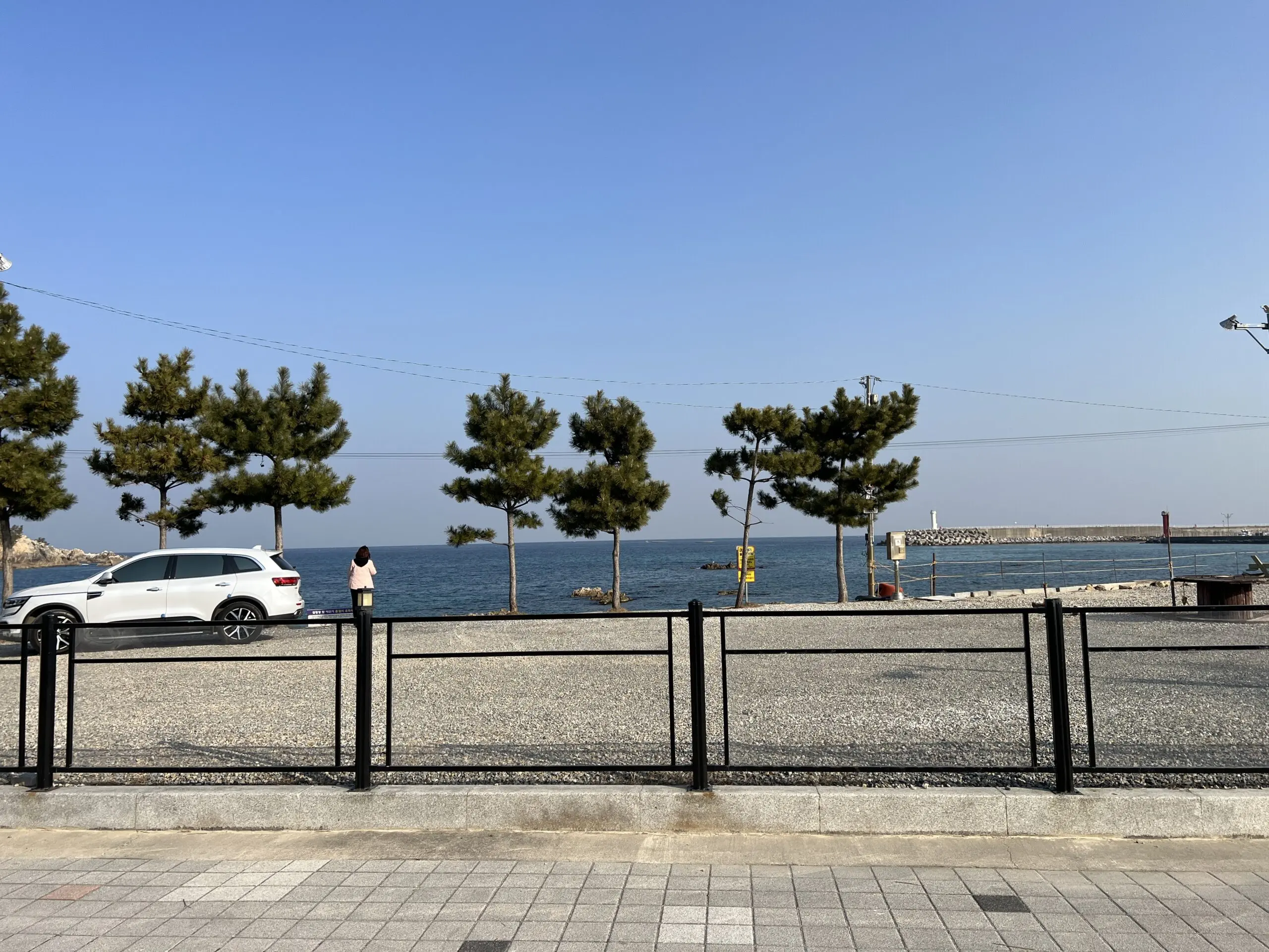삼척 장호비치캠핑장 상세리뷰 동해 바다뷰 - 10