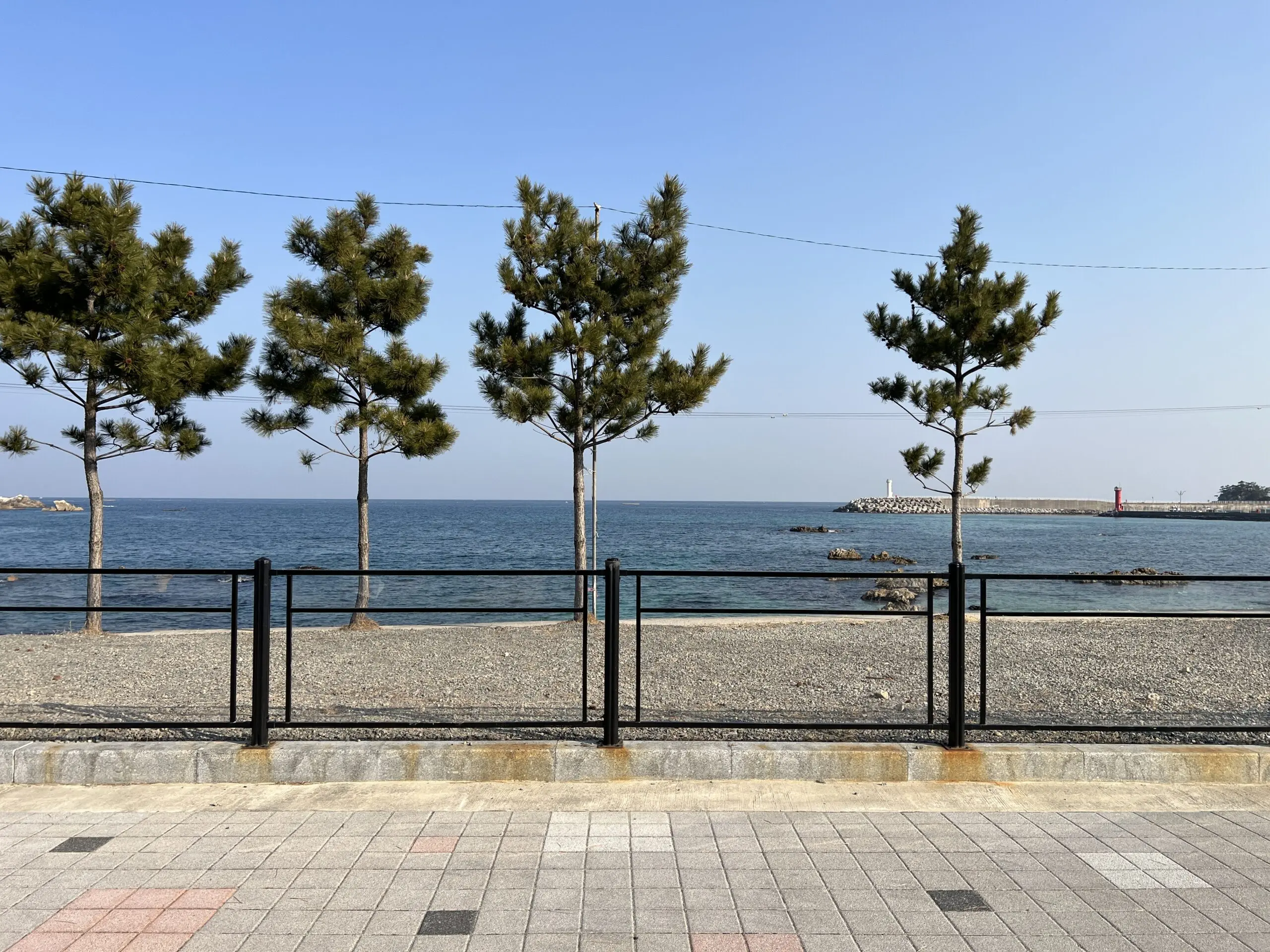 삼척 장호비치캠핑장 상세리뷰 동해 바다뷰 - 13