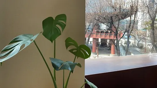 - 6