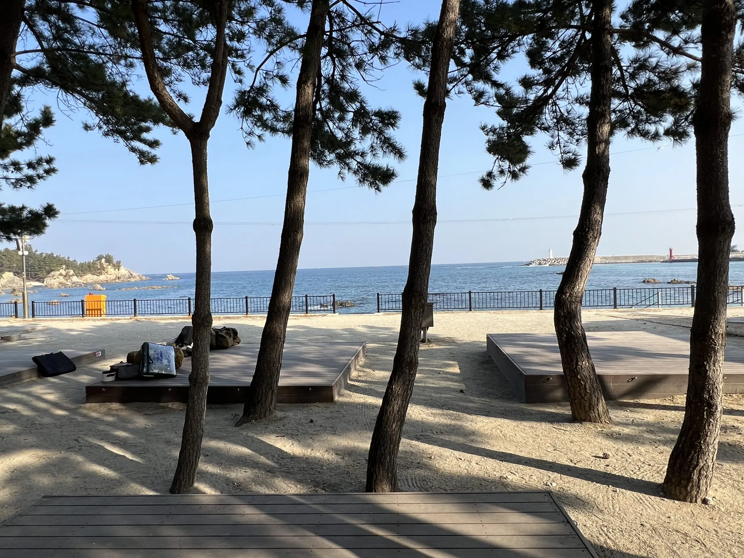 삼척 장호비치캠핑장 상세리뷰 동해 바다뷰 - 22