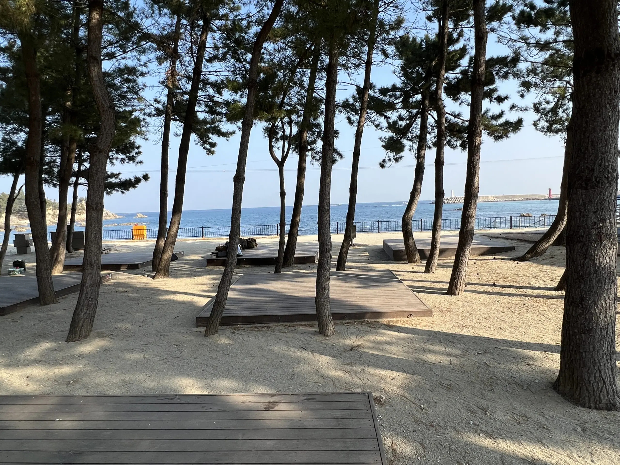 삼척 장호비치캠핑장 상세리뷰 동해 바다뷰 - 23