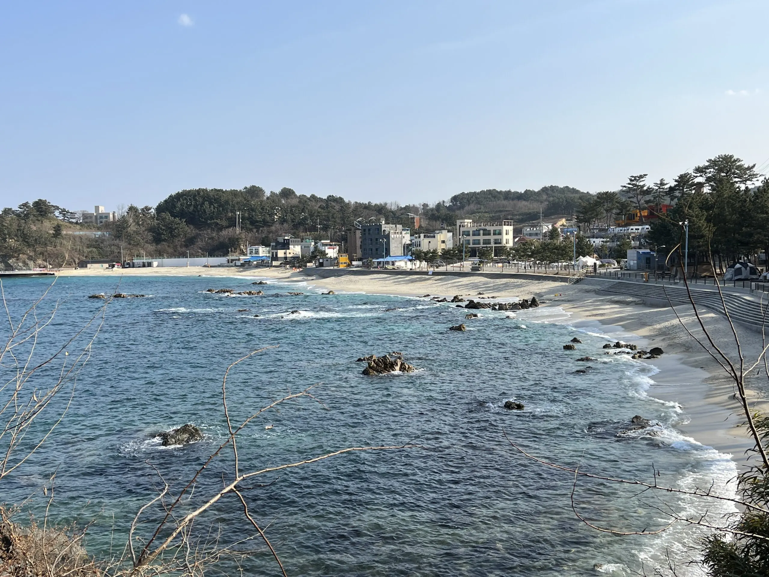 삼척 장호비치캠핑장 상세리뷰 동해 바다뷰 - 37
