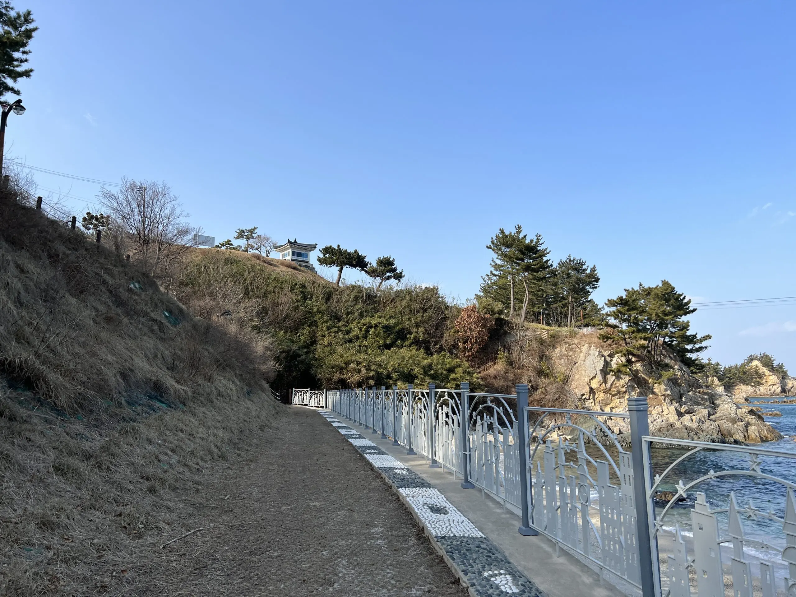 삼척 장호비치캠핑장 상세리뷰 동해 바다뷰 - 35