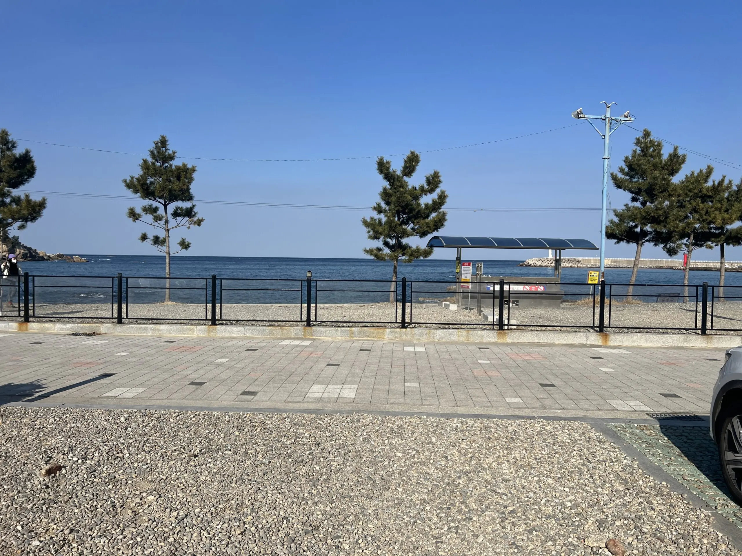 삼척 장호비치캠핑장 상세리뷰 동해 바다뷰 - 42