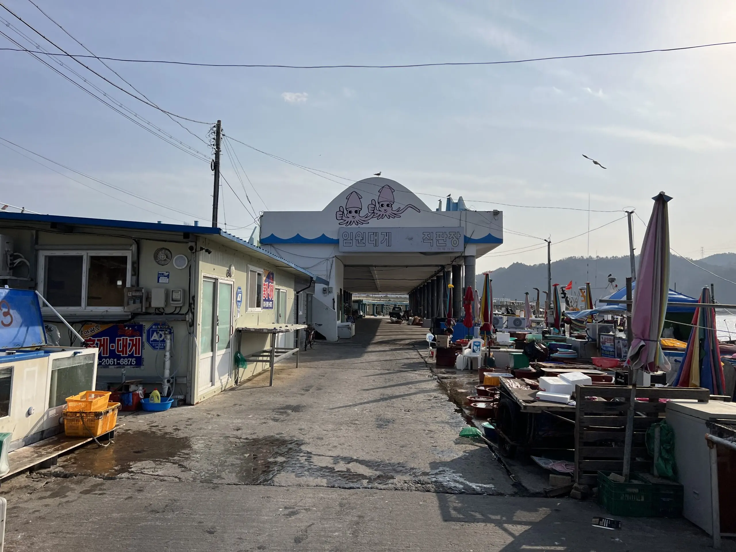 삼척 장호비치캠핑장 상세리뷰 동해 바다뷰 - 44