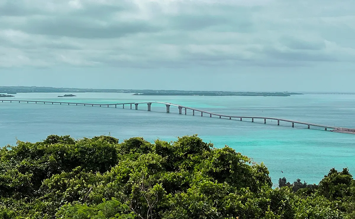 마키야마 전망대에서 본 이라부대교