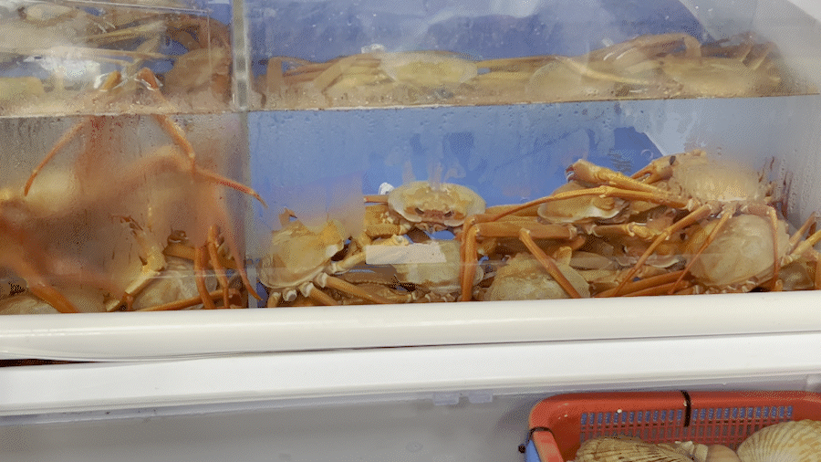 국내 가을여행 가볼만한 곳 - 44