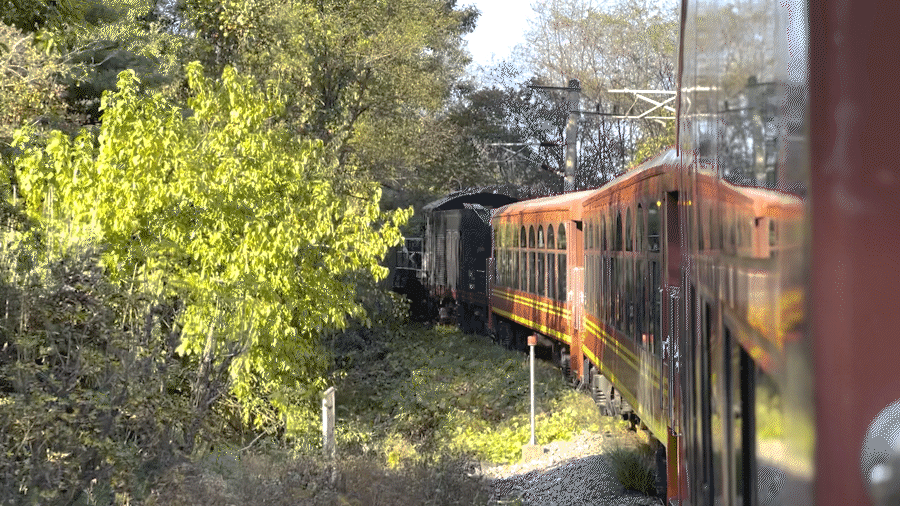 국내 가을여행 가볼만한 곳 - 37