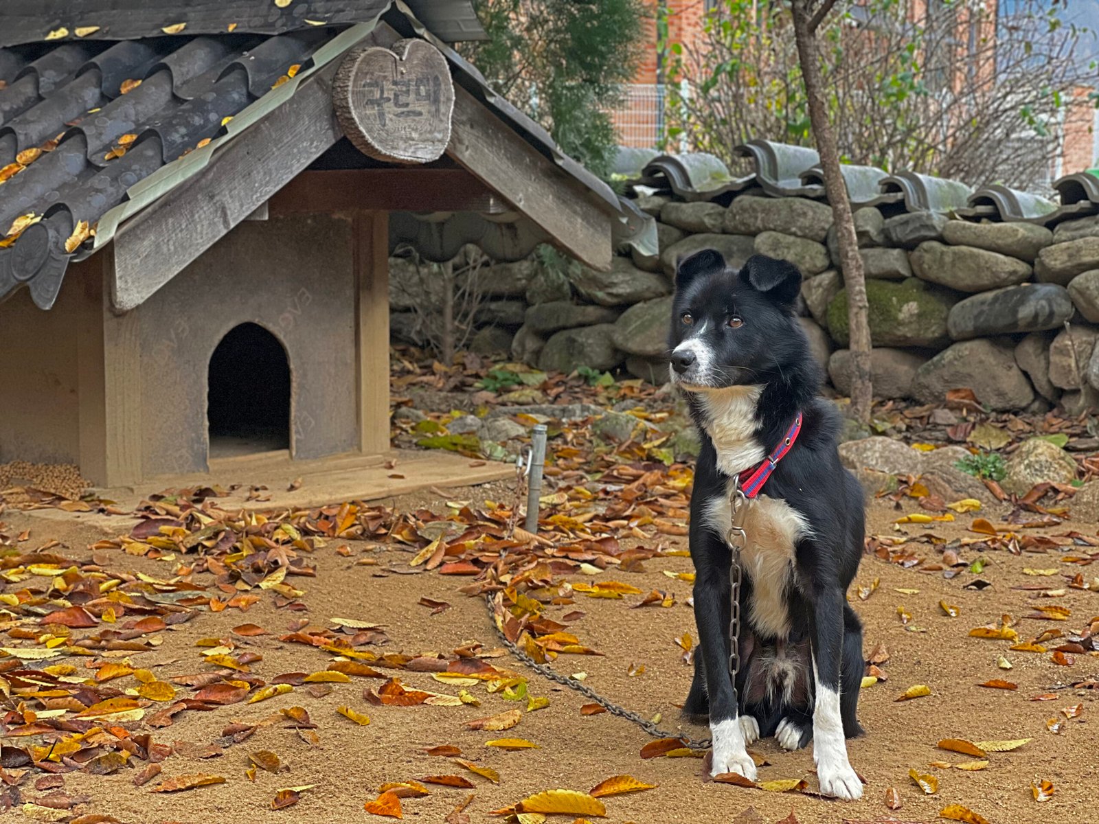 국내 가을여행 가볼만한 곳 - 77