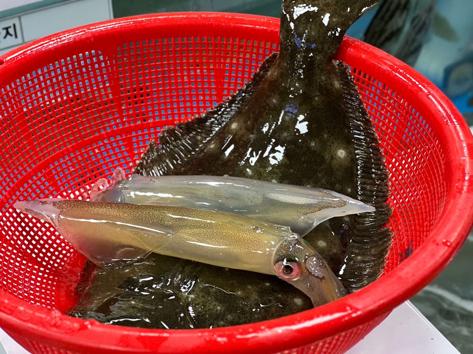 국내 가을여행 가볼만한 곳 - 43