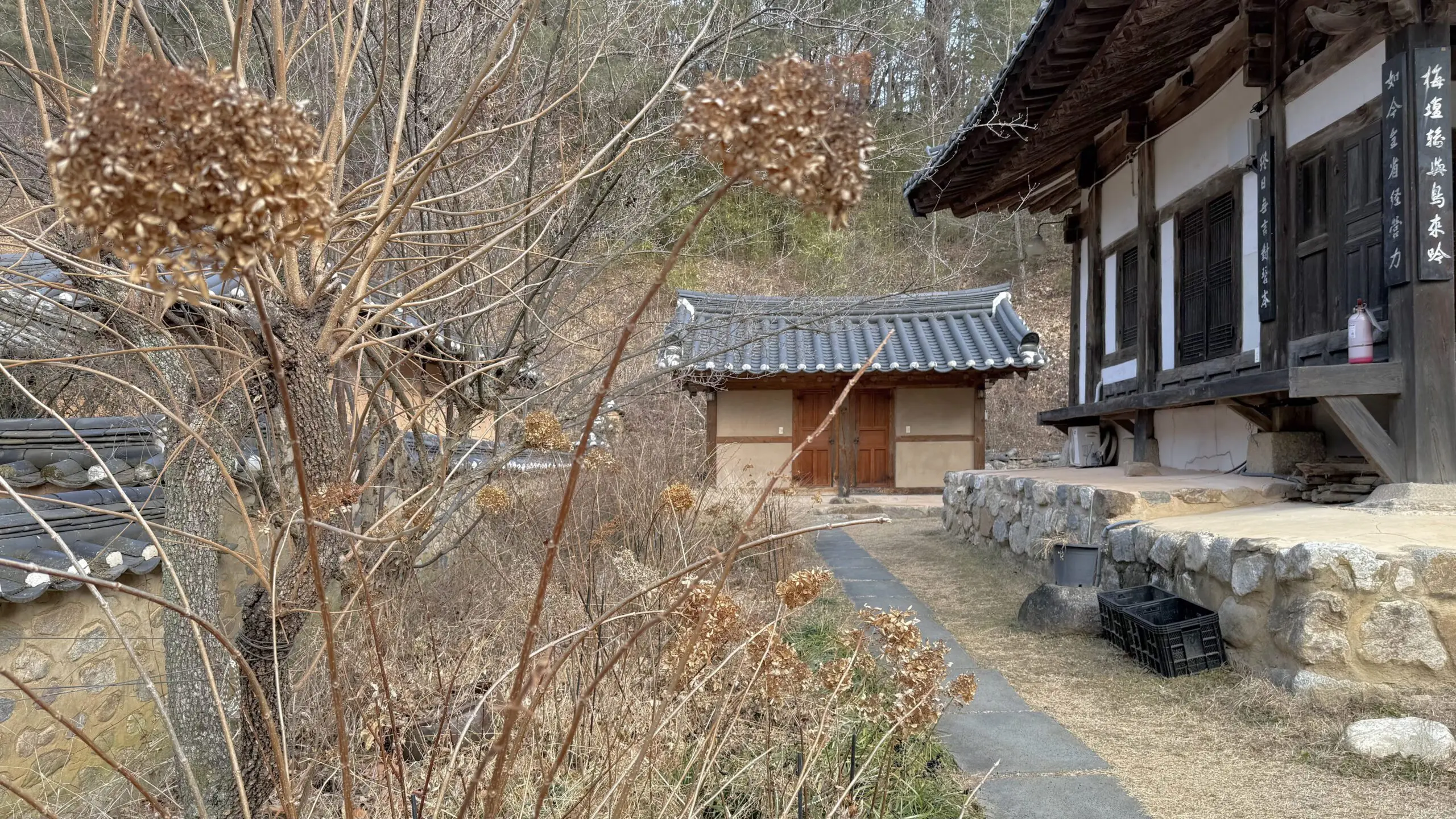 지례예술촌의 숨겨진 매력 400년 고택에서의 하룻밤 - 36