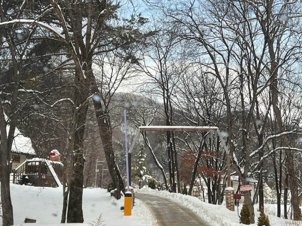 - 83