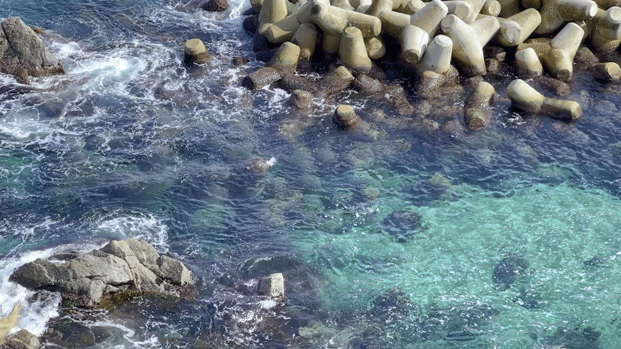 국내 가을여행 가볼만한 곳 - 57