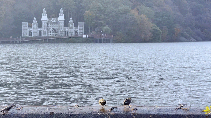 국내 가을여행 가볼만한 곳 - 64