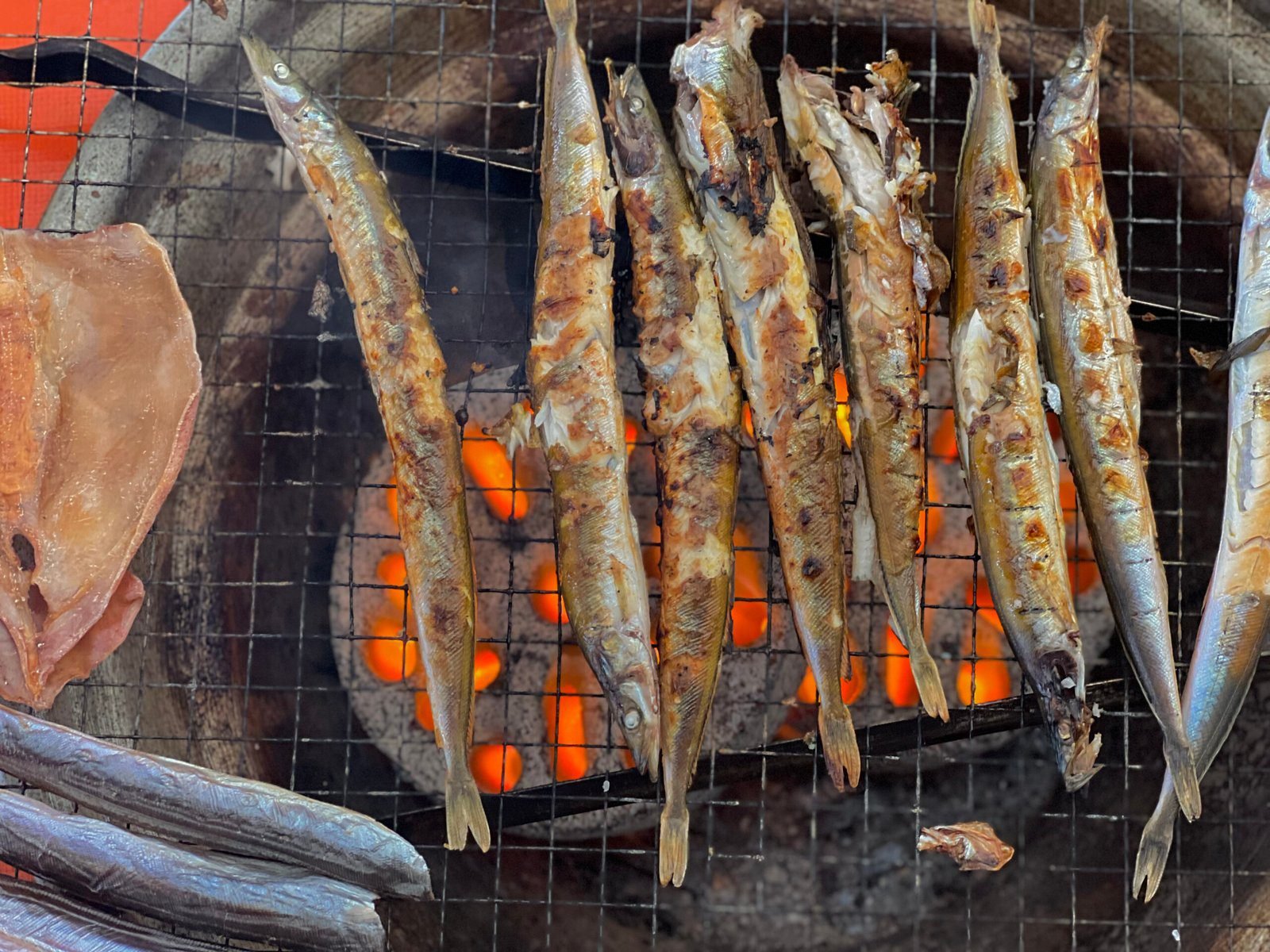 속초해물전골, 꼭 가봐야 할 속초 맛집 추천 관련글 썸네일