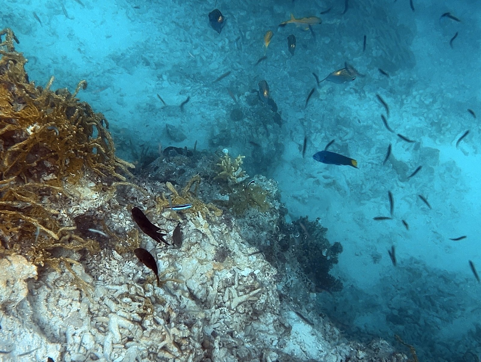 엘니도 호핑투어C 코스 완벽 정리┃팔여행사 예약부터 히든비치 방문까지 - 26