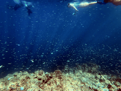 엘니도 호핑투어C 코스 완벽 정리┃팔여행사 예약부터 히든비치 방문까지 - 28