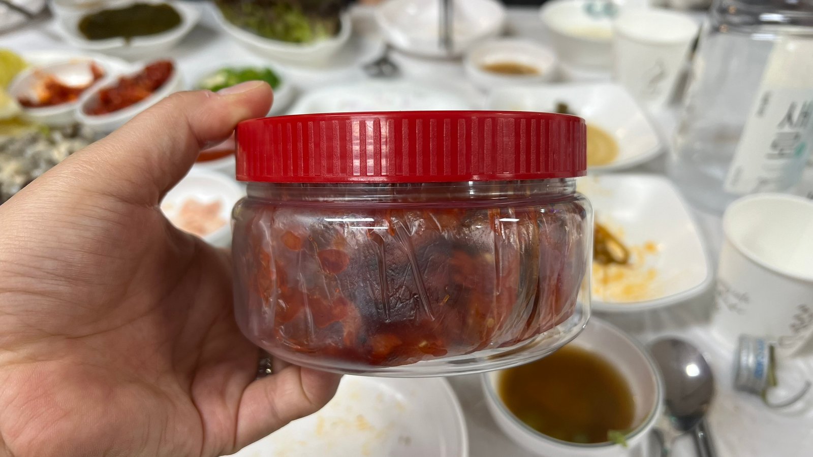 속초 현지인 맛집 굴향 명태회무침