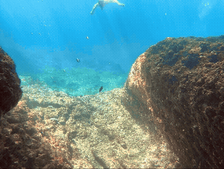 엘니도 호핑투어C 코스 완벽 정리┃팔여행사 예약부터 히든비치 방문까지 - 21