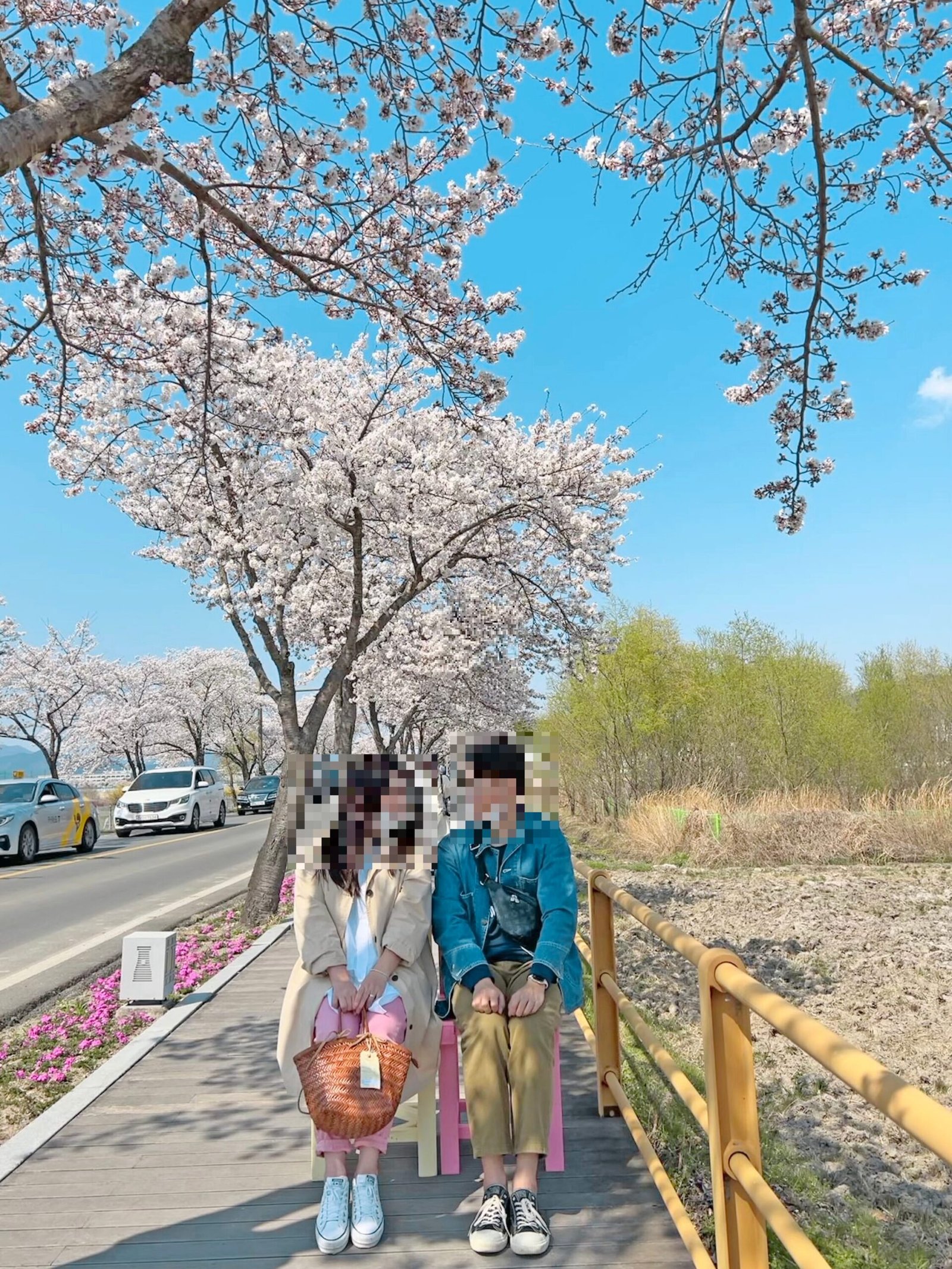 경주 벚꽃 명소 동궁과 월지 