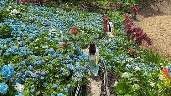 오키나와 북부 스테이크 맛집 추천┃플리퍼 스테이크 솔직 후기 & 웨이팅 꿀팁까지 관련글 썸네일