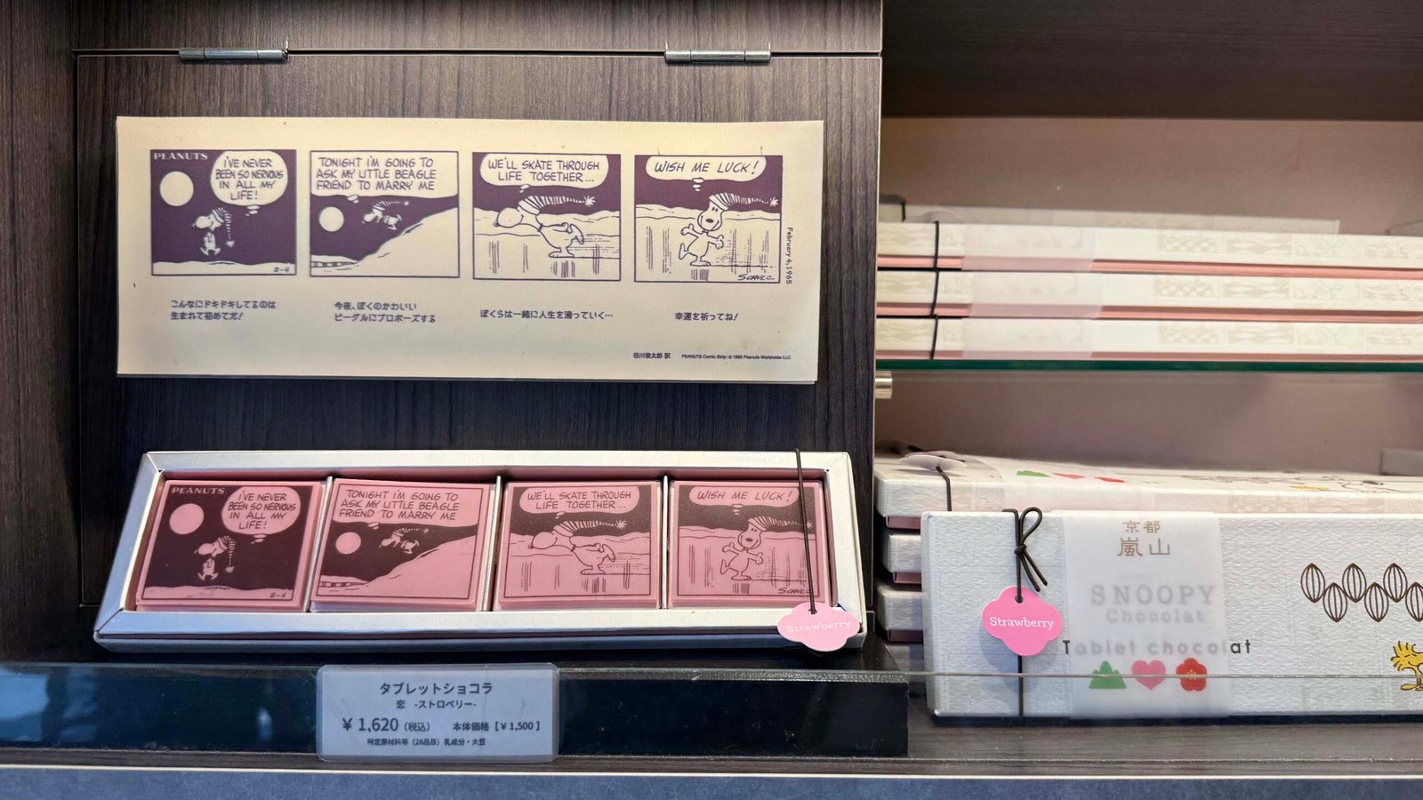 아라시야마 스누피 초콜릿