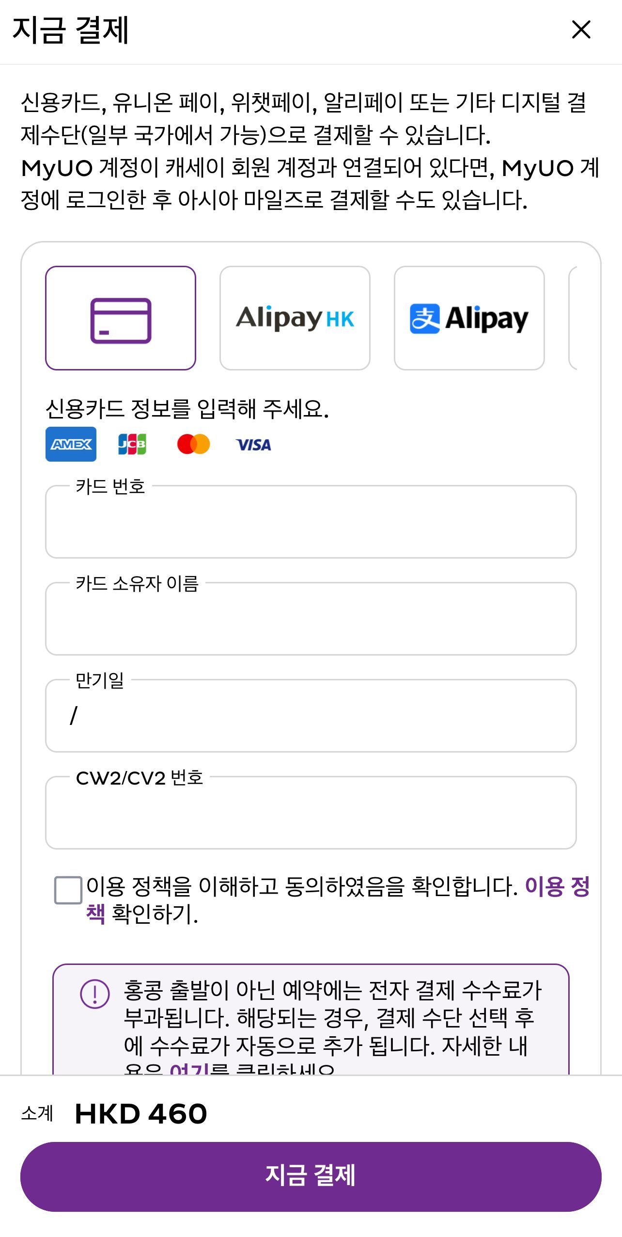 Apple Pay와 신용카드 결제 수단이 표시된 추가 수하물 결제 화면