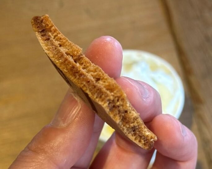디앤디파트먼트 교토┃불광사 안 디자인숍 기념품 쇼핑·카페 후기 소프트아이스크림에 곁들인 얇고 바삭한 쿠키