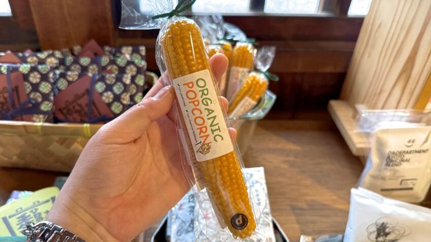디앤디파트먼트 교토┃불광사 안 디자인숍 기념품 쇼핑·카페 후기 손에 든 ORGANIC POPCORN 옥수수 제품